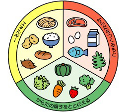 栄養バランスの表
