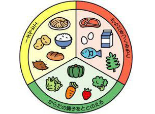 栄養バランス表