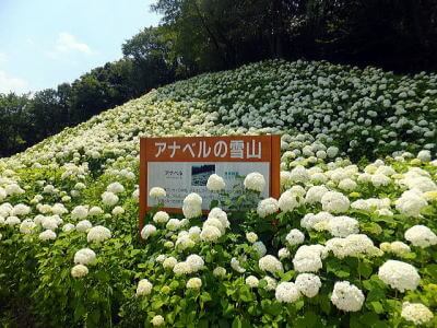 東京サマーランド