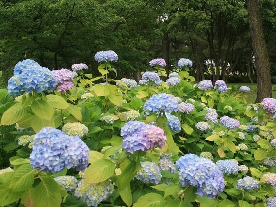 海の中道海浜公園