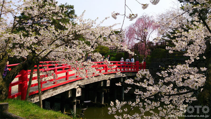 弘前公園（弘前城）