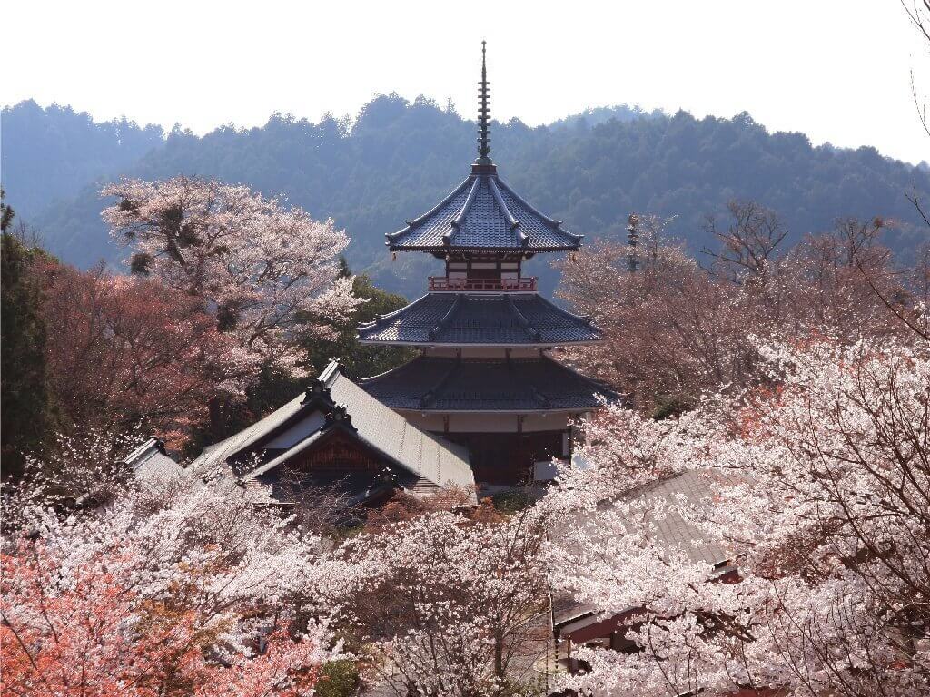 吉野山