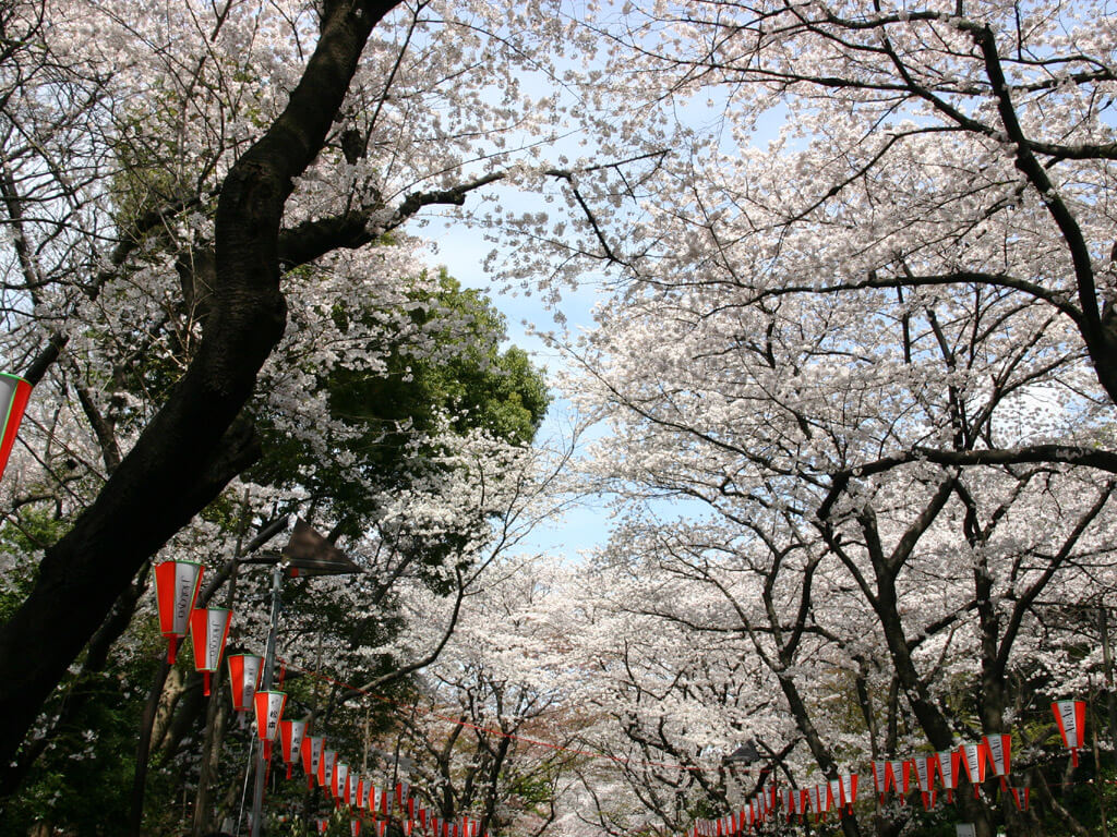 上野恩賜公園