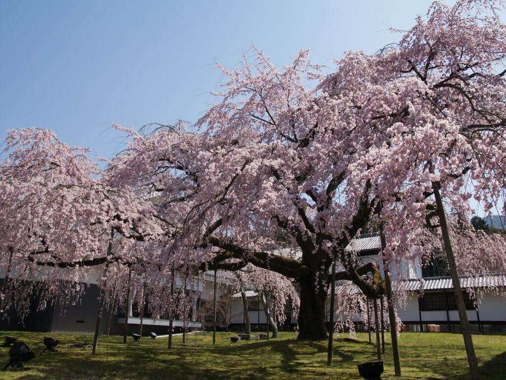 醍醐寺