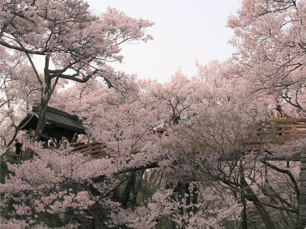 高遠城址公園