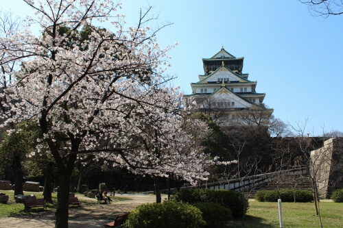 大阪城公園(大阪城)