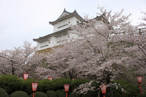 鶴山公園(津山城)