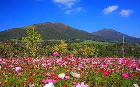 蒜山高原