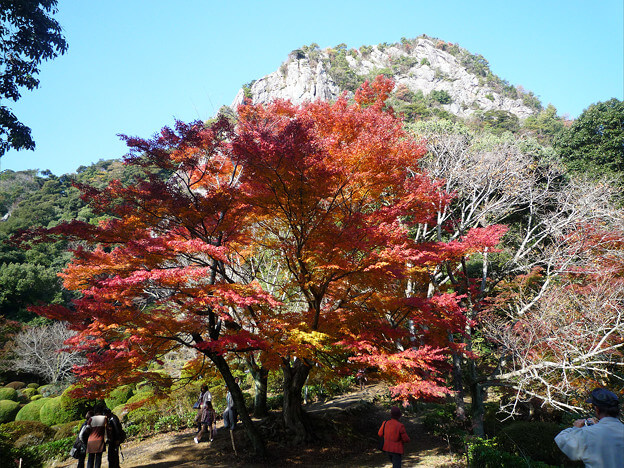 御船山楽園