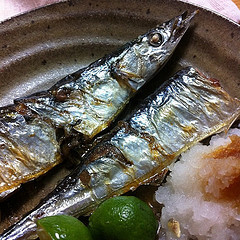 秋刀魚(さんま)