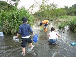 生き物採集