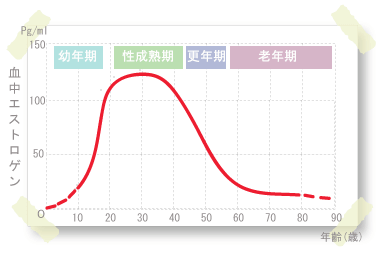 血中エストロゲン