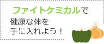 ファイトケミカルで健康な体を手に入れよう！