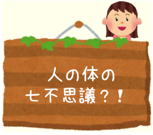 人の体の七不思議?!