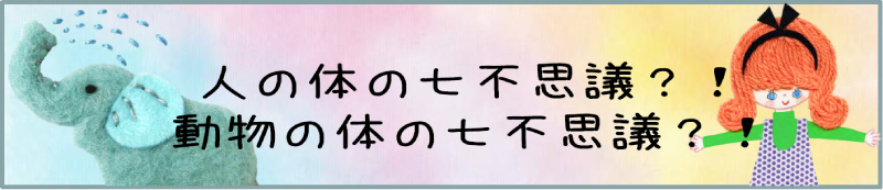 人の体の七不思議？！動物の体の七不思議？！