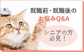 就職前・就職後のお悩みQ＆A　シニアの方必見！