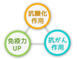 抗酸化作用・免疫力UP・抗がん作用