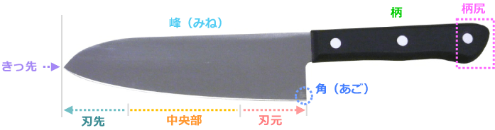 知っておきたい包丁のおはなし 包丁の持ち方 切り方 動かし方 パート 正社員 派遣の求人 転職情報サイト サポナビ